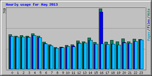 Hourly usage for May 2013